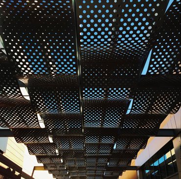 Gypsum Perforated
